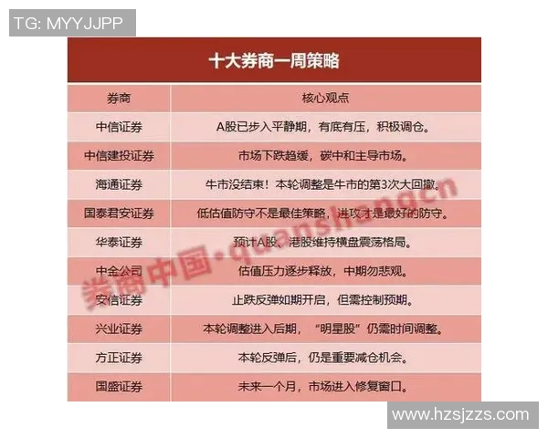 深入分析成都排球队防守策略与战术特点的专业解读